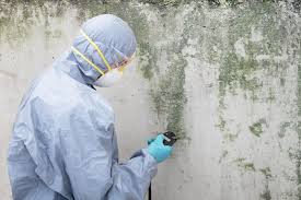 Mold Remediation for Rental Properties in West Point, NY